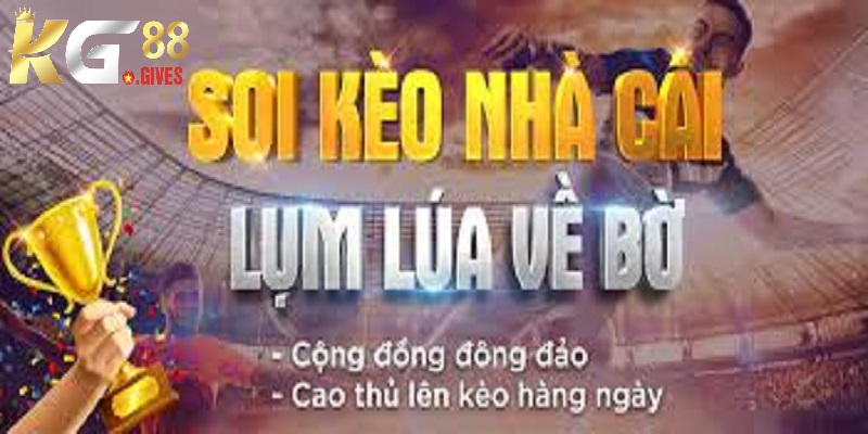 Giới thiệu kèo nhà cái KG88 